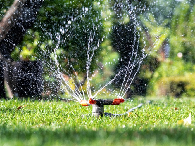 A Friendly Reminder to Help Conserve Water This Summer 
